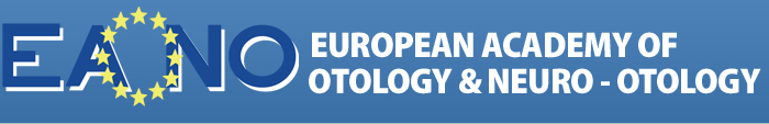 Europejska grupa ds. Wytycznych w przewlekłym zapaleniu ucha środkowego z perlakiem